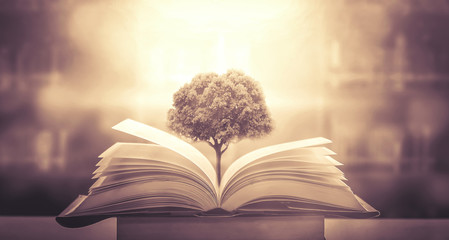 美容师要怎样发短信给不来的顾客-