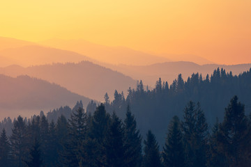 变色龙中的警官奥楚蔑洛夫是一个怎样的人？