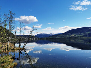 抖音点赞评论最多的文案