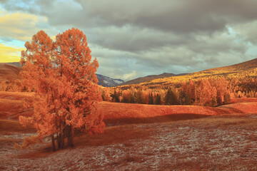 诗词中的比兴手法