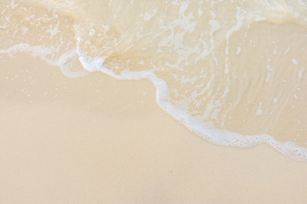 人体各部位英语手抄报 英语英语手抄报