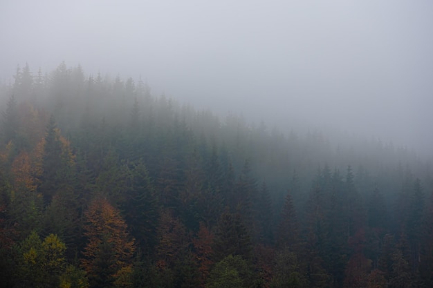 快点儿的英文怎么说