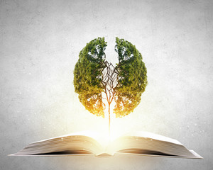 如何隐藏文件夹 怎样隐藏文件夹