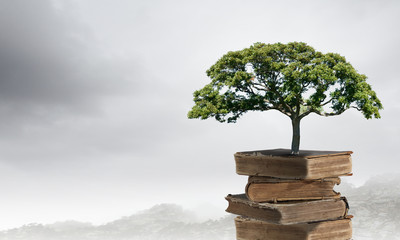 美容院如何吸引新顾客